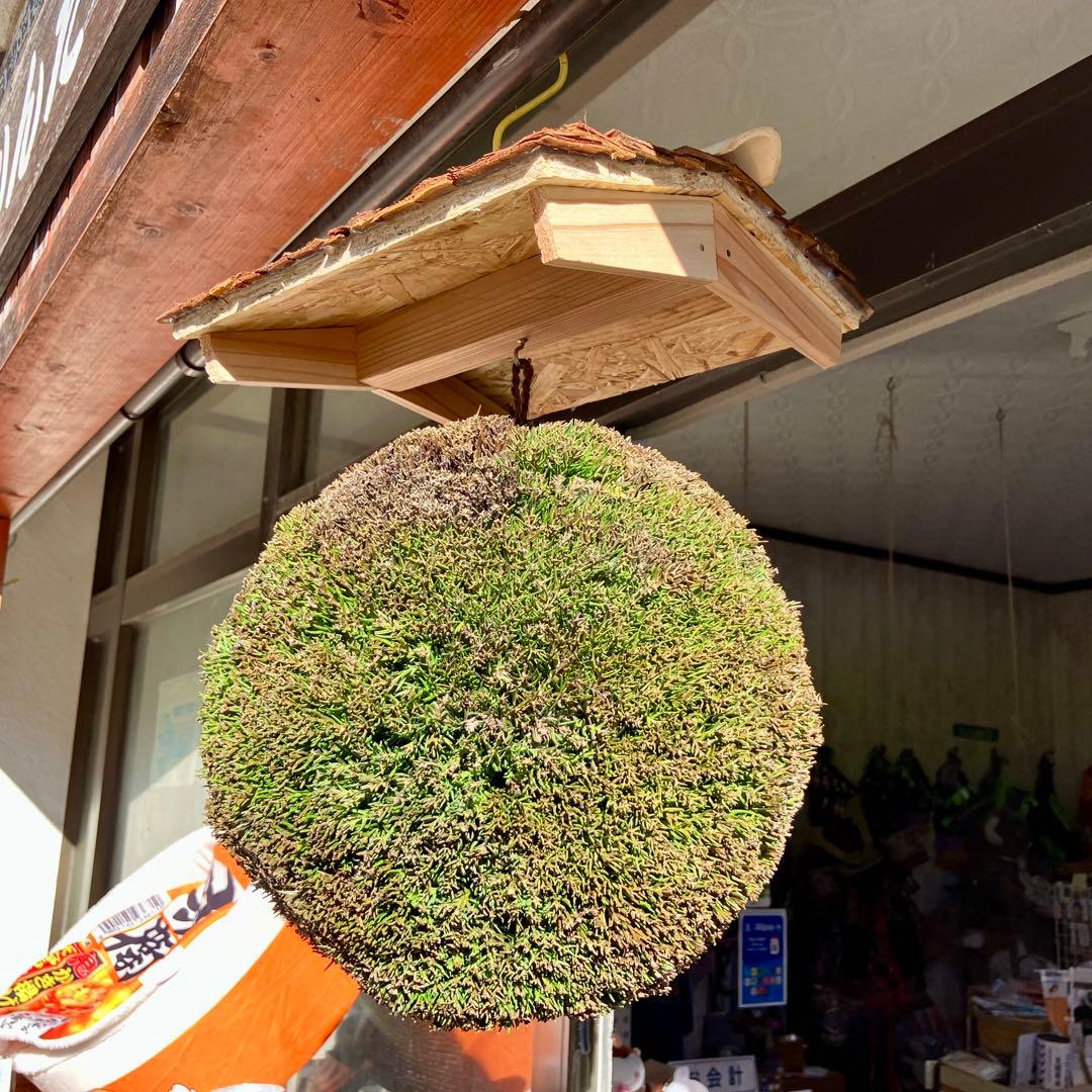 杉玉【屋根付き】④