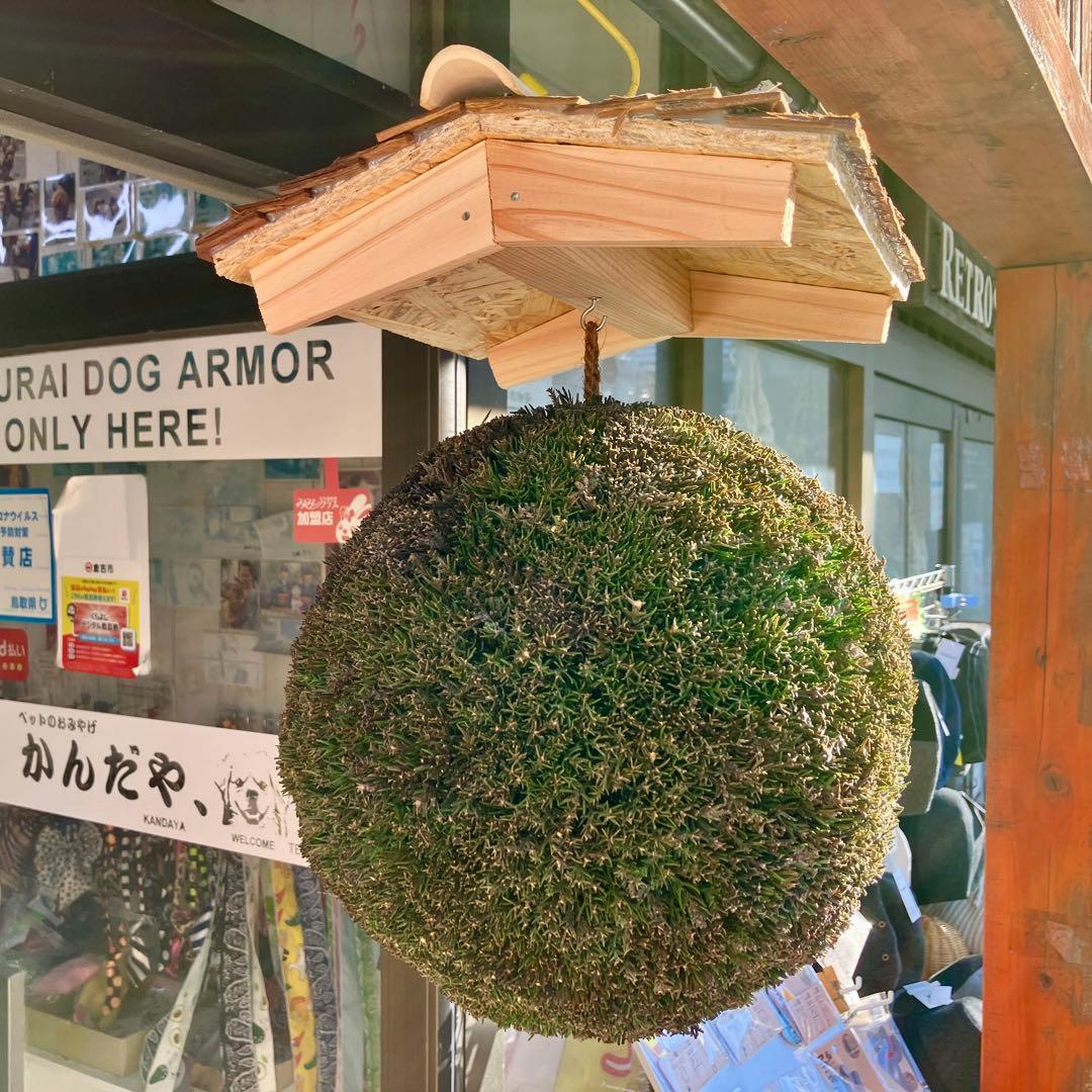 杉玉【屋根付き】④