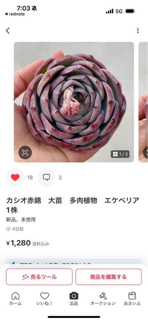 Ｔ.Dekaooo