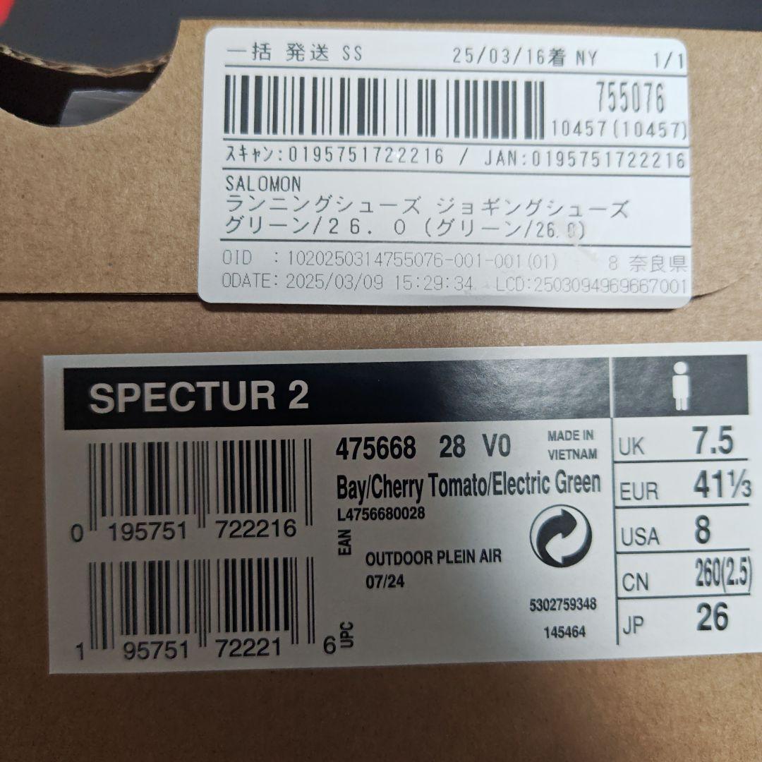 SALOMON SPECTUR2 ホワイト/グリーン