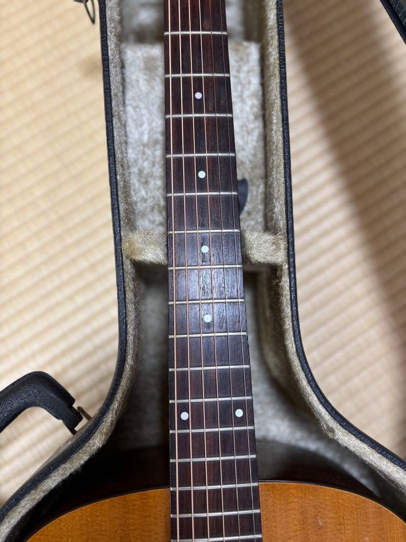 Seagull SM6Spruce カナダ製 fishman pu&ハードケース