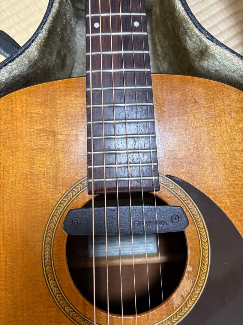 Seagull SM6Spruce カナダ製 fishman pu&ハードケース
