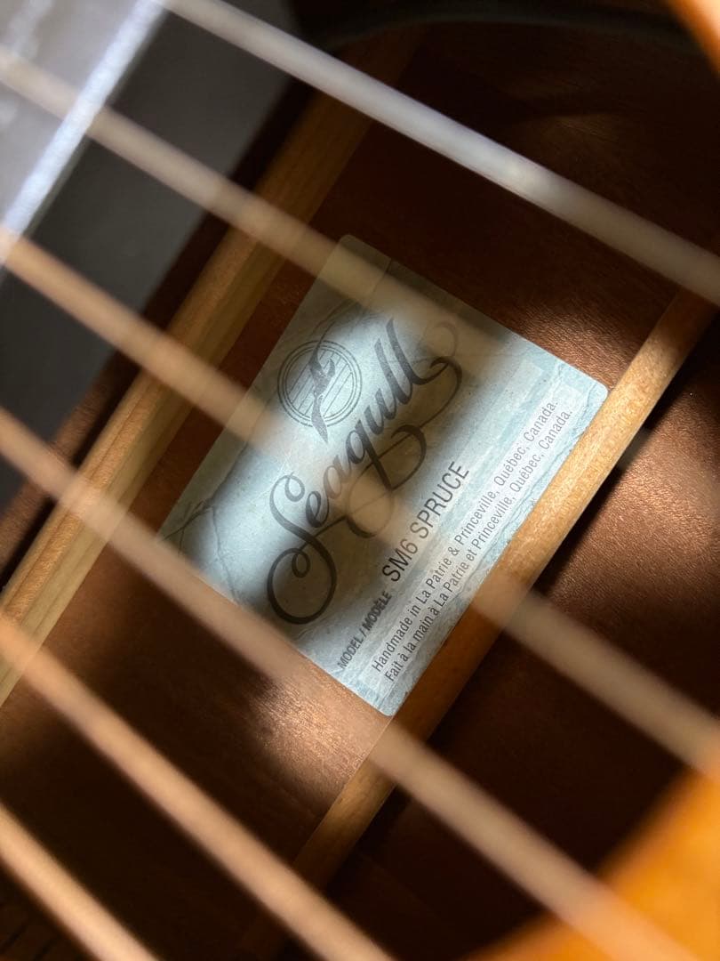 Seagull SM6Spruce カナダ製 fishman pu&ハードケース