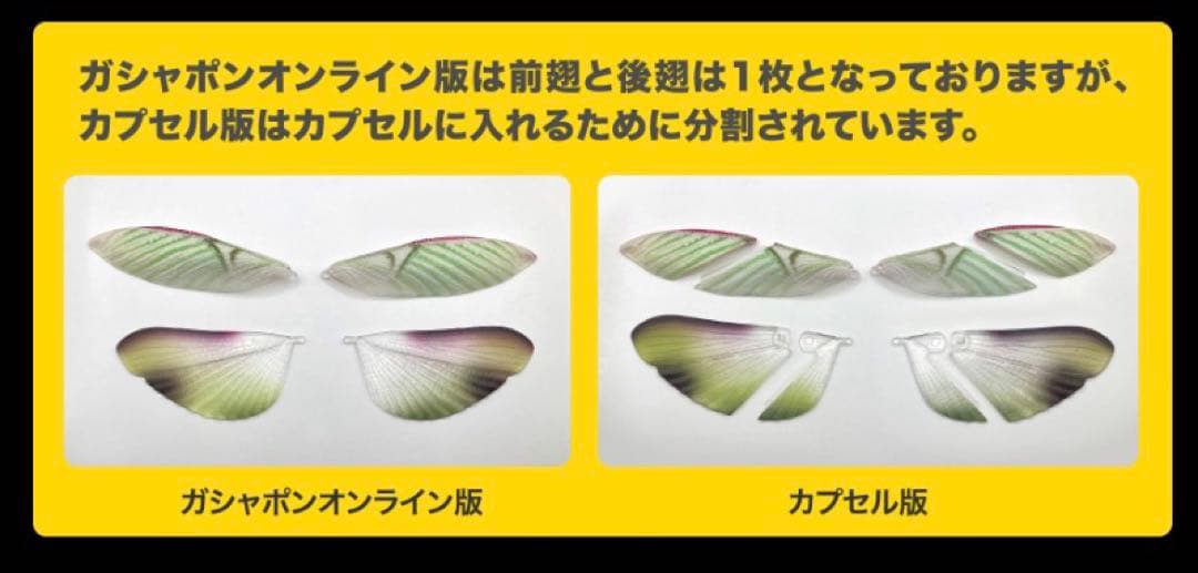 【新品】いきもの大図鑑アドバンス ニセハナマオウカマキリ オンライン版 セット