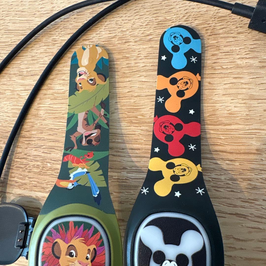 ディズニー　マジックバンドプラス　WDW ２個セット　充電ケーブル付き