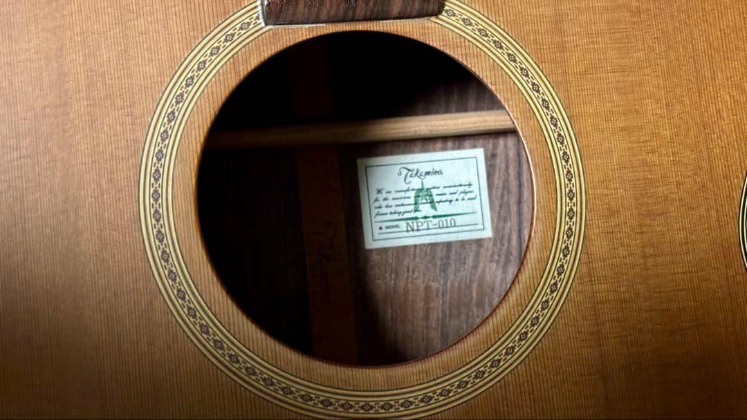 Takamine アコースティックギター NPT-010