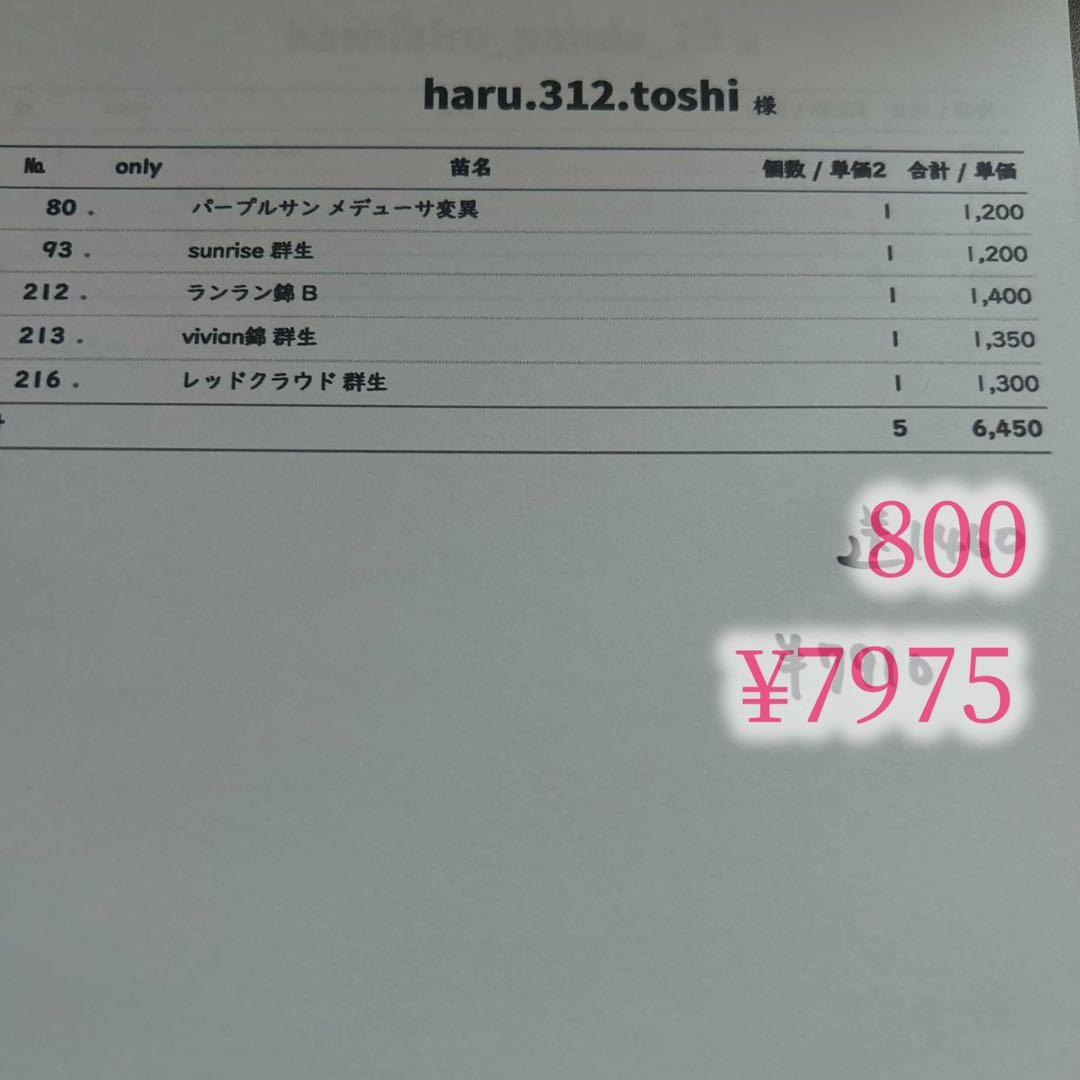 18.haru toshiさん