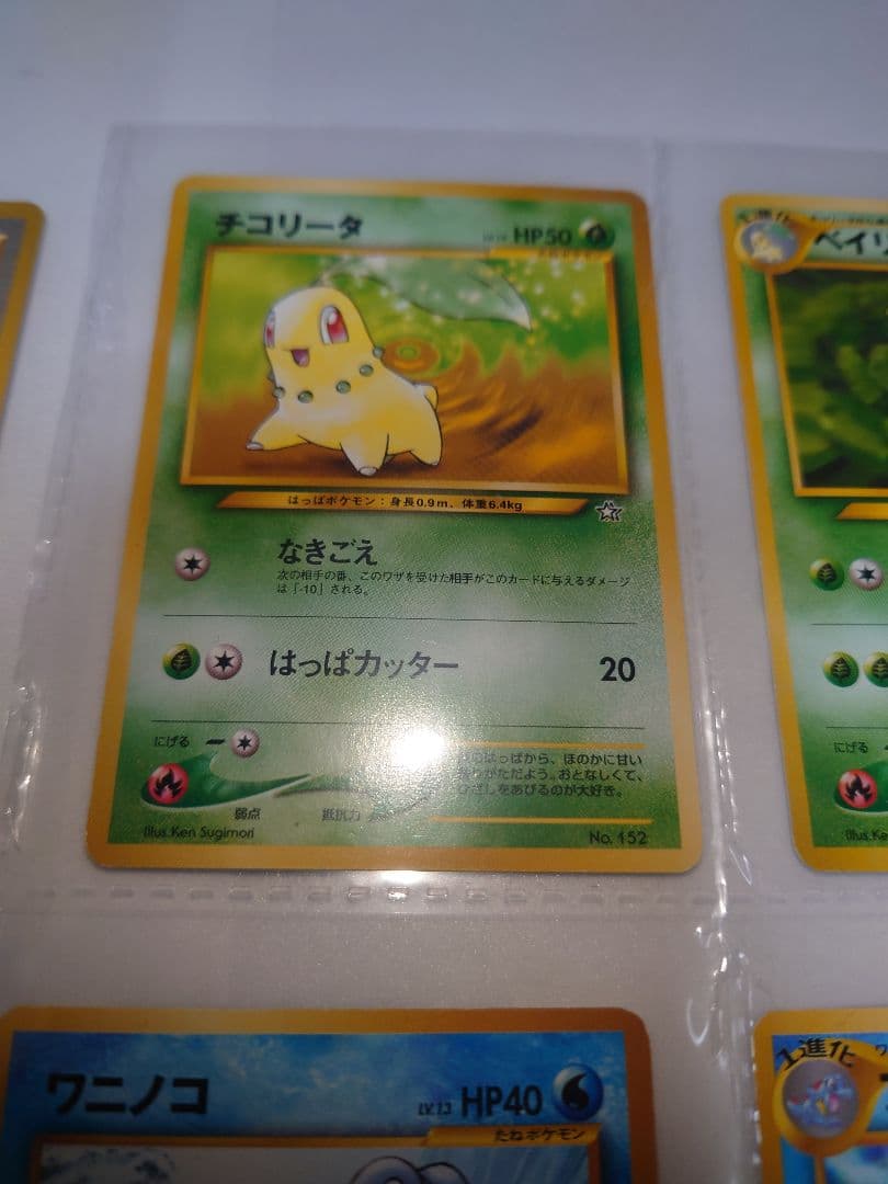 メガニウム　オーダイル　バクフーン　旧裏 neo プレミアムファイル 御三家