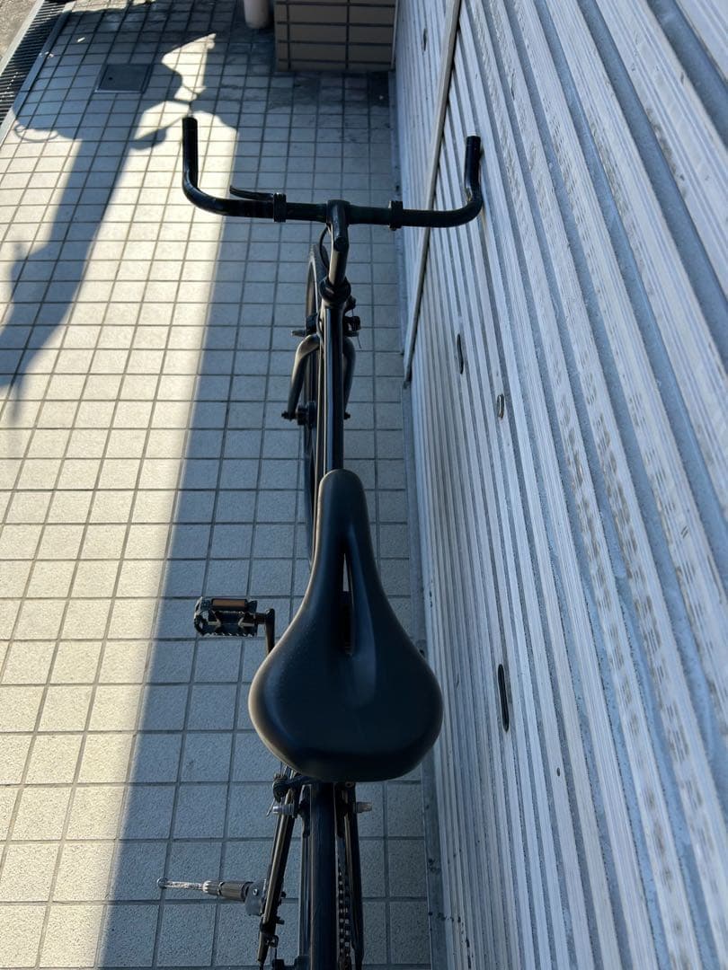 ピスト 700cc フレームサイズ50cm フリギアと固定ギア