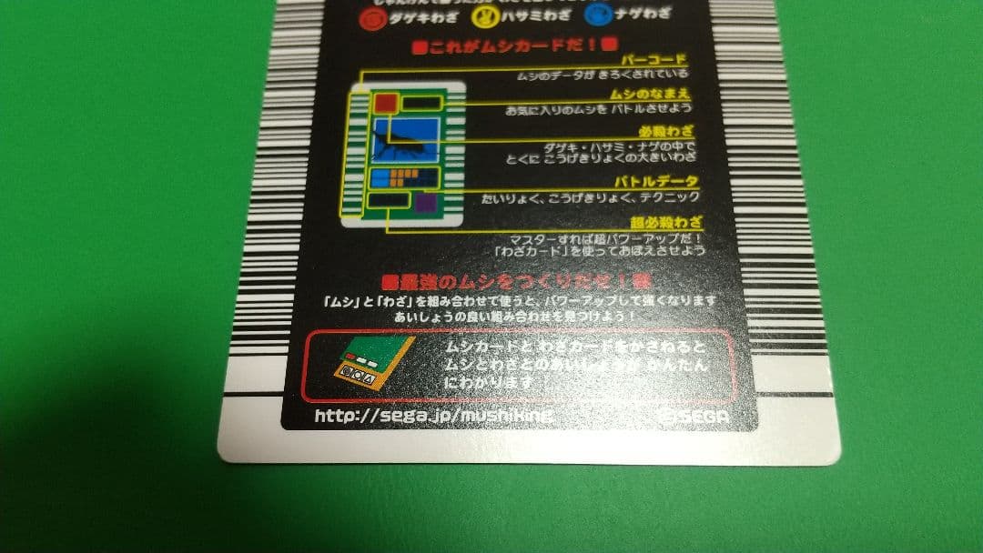 KKKKKKK様確認用