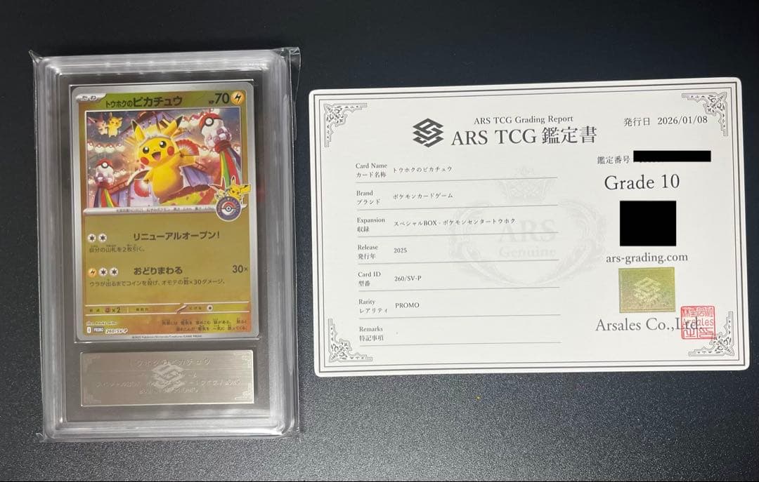 【ARS鑑定10】トウホクのピカチュウ