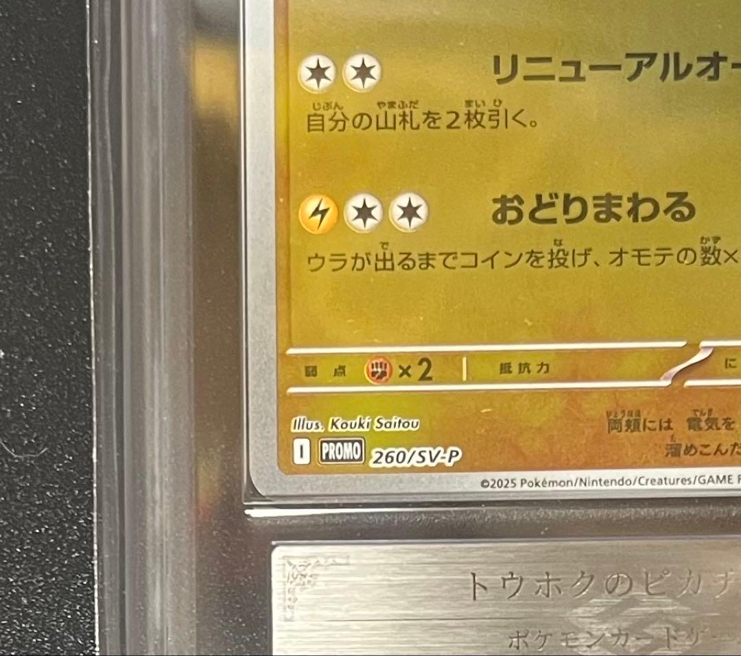 【ARS鑑定10】トウホクのピカチュウ