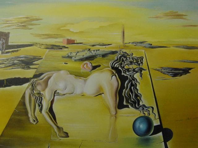 サルバドール・ダリ【姿の見えない眠る人、馬、獅子】　 高級画集画