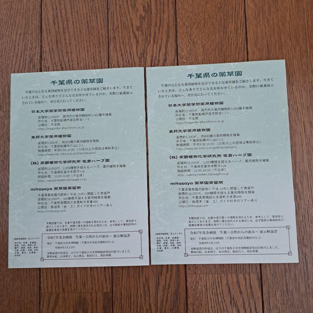 薬屋のひとりごと　千葉県立中央博物館　入場特典しおり