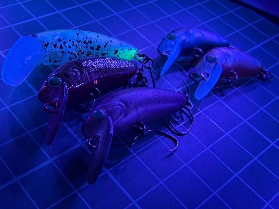 ディスプラウト　イーグルプレーヤー　ピコイーグルプレーヤー　オオツカオリカラ