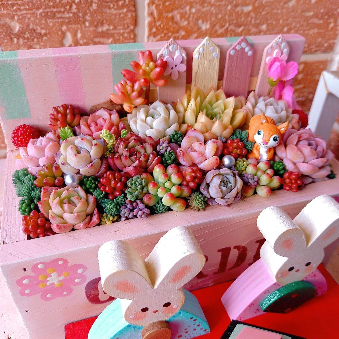 ♥多肉植物♥そのまま飾れる寄せ植え♥うさぎちゃんお雛様~♥