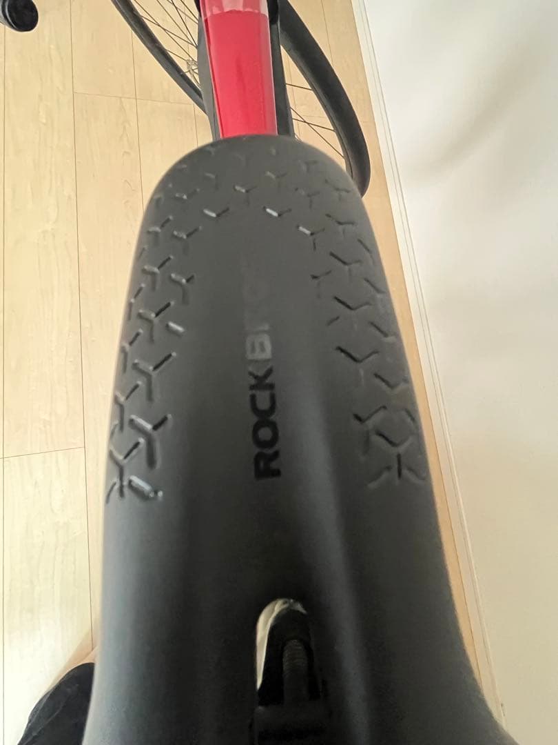 TREK DOMANE AL2 Gen4 54 ロードバイク
