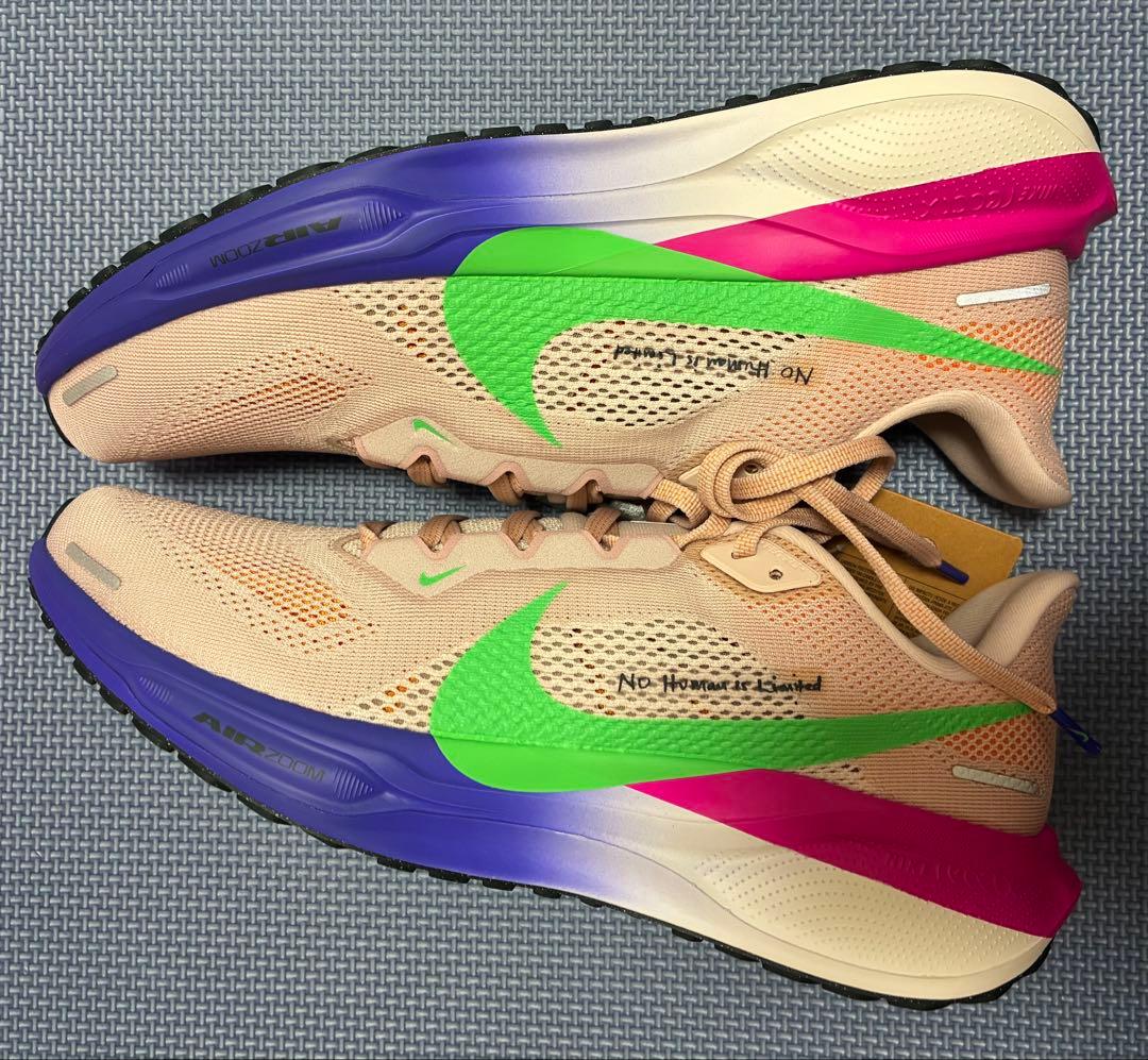 Nike AIR ZOOM Pegasus 41 【 27.0cm 】