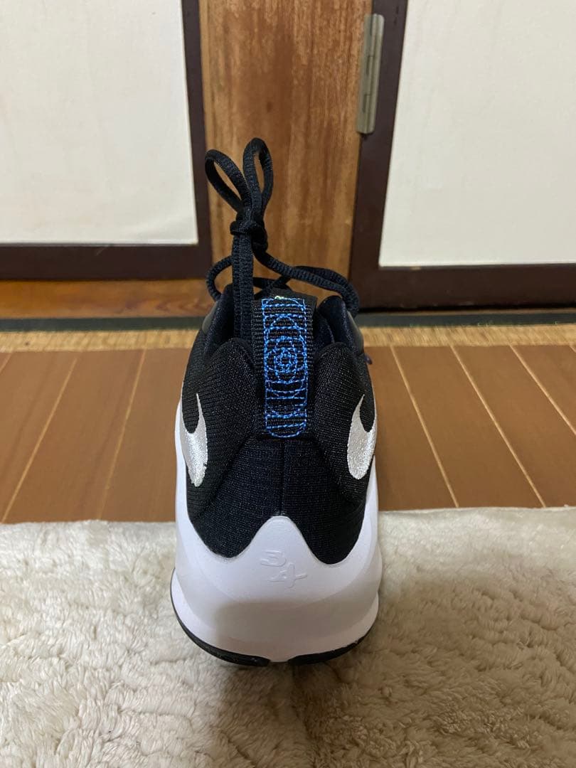 NIKE ズームフリーク3