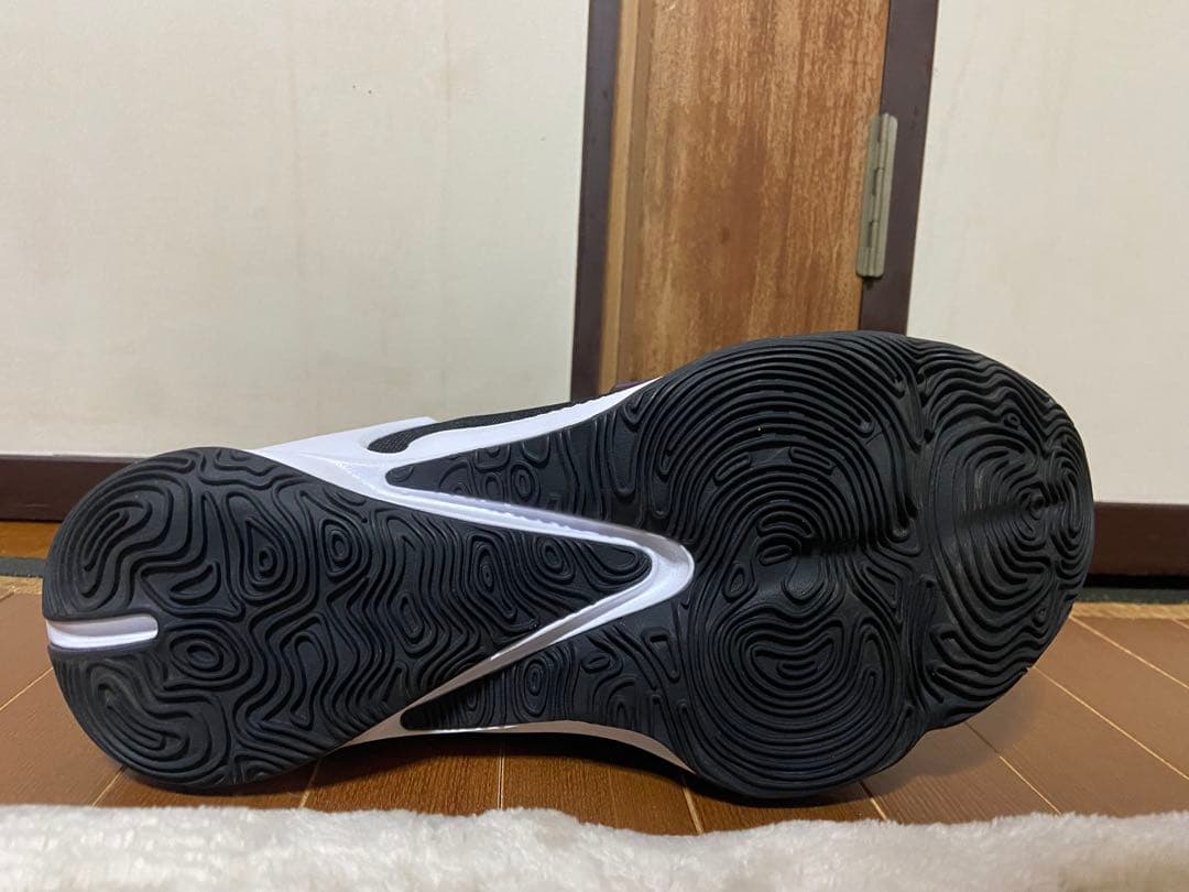 NIKE ズームフリーク3