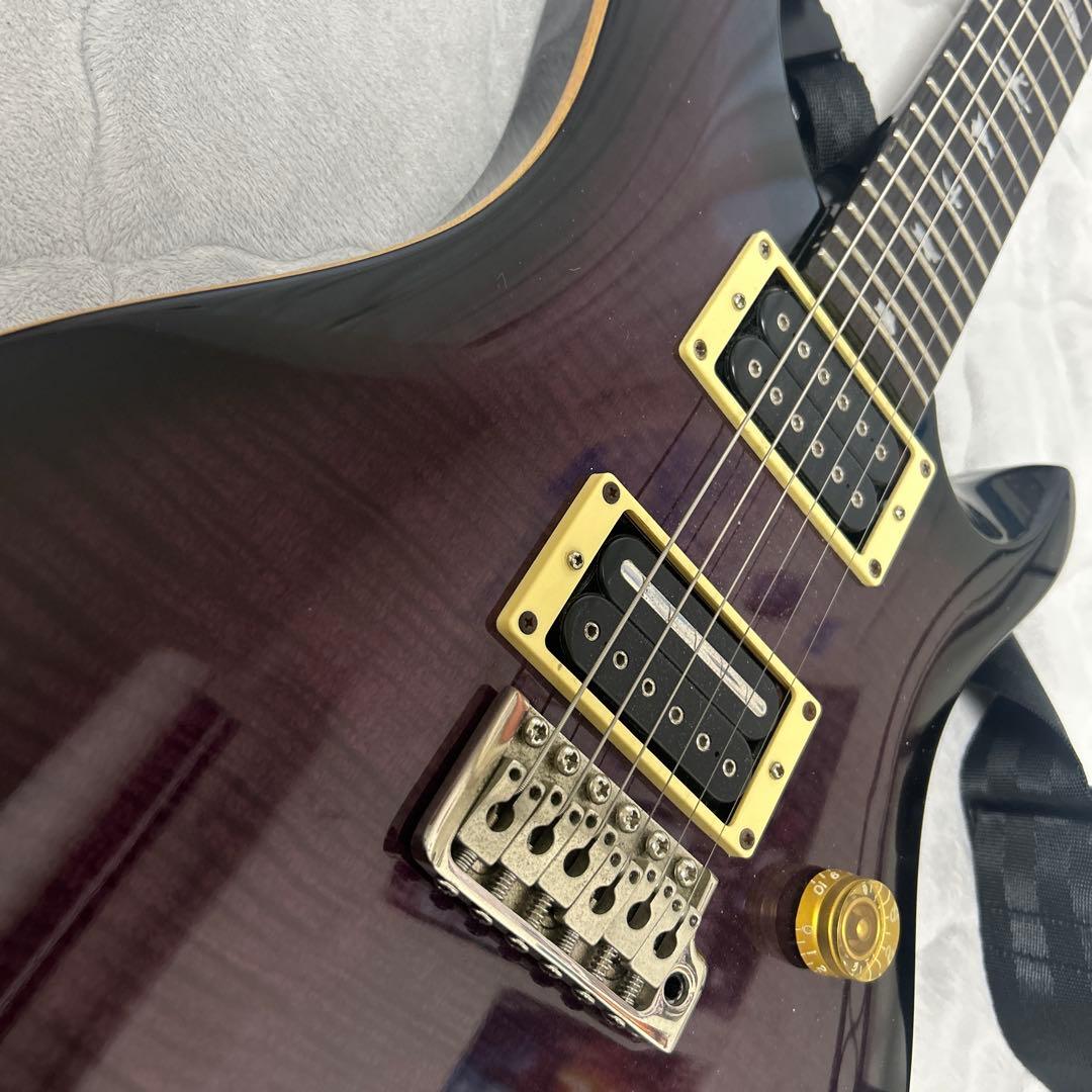 PRS SE Custom24 ダークパープル