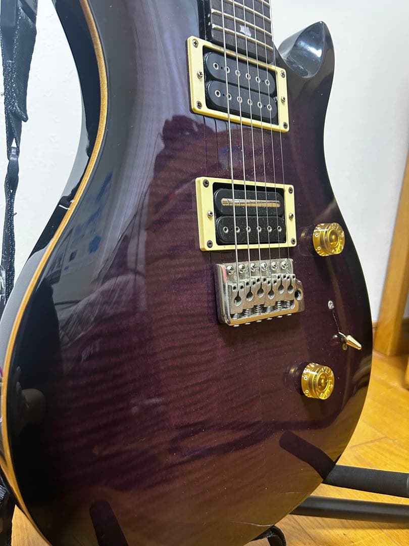 PRS SE Custom24 ダークパープル