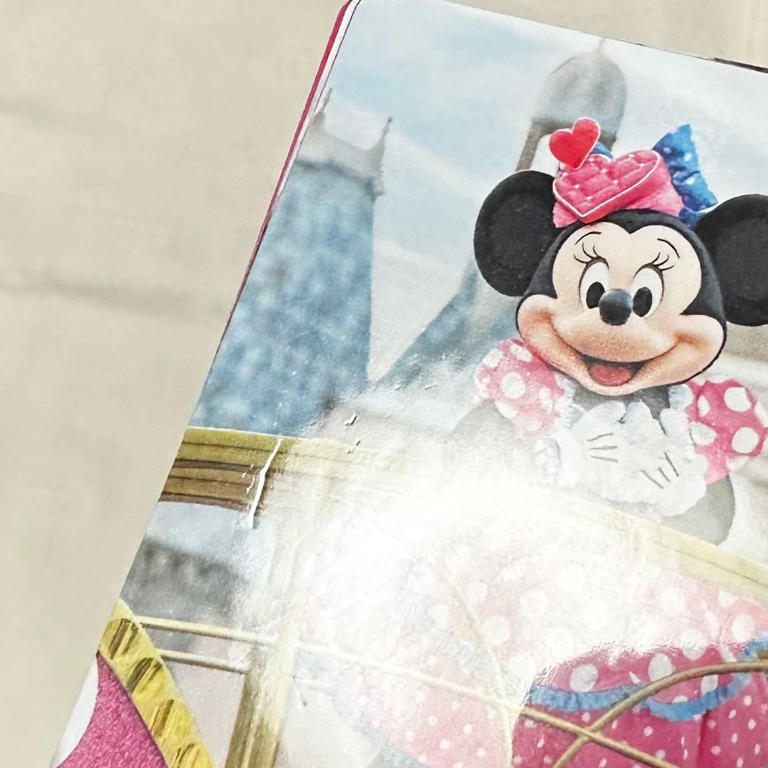 ディズニー ミニー パルパルーザ グッズ セット売り