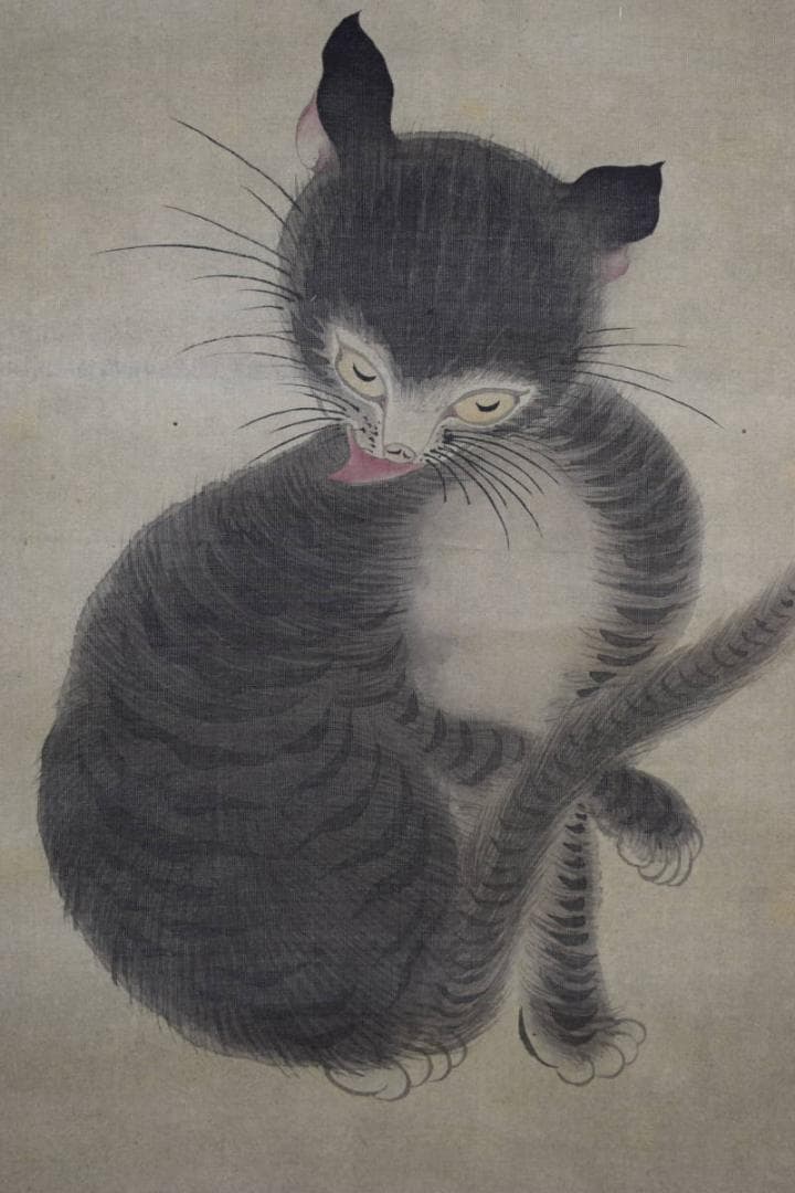 真作/瀬谷桐斎/明徳館/学長/猫画賛/布袋屋掛軸HH-88