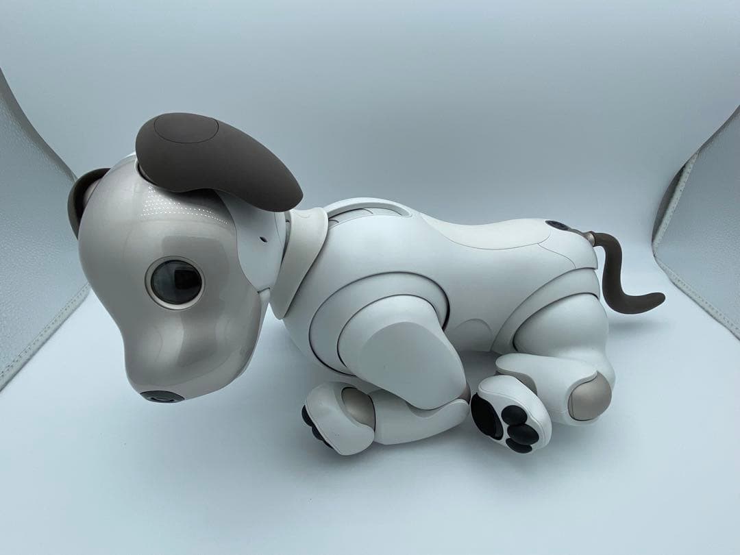 SONY aibo ERS-1000 アイボリー 付属品あり ロボット犬 ソニー