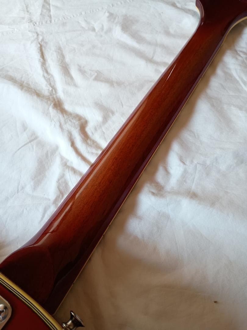 Fresher レスポール カスタム タイプ FL-331? ソフトケース