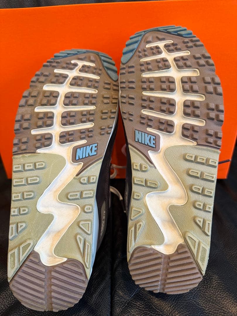 Nike Air Max 90G 24センチ