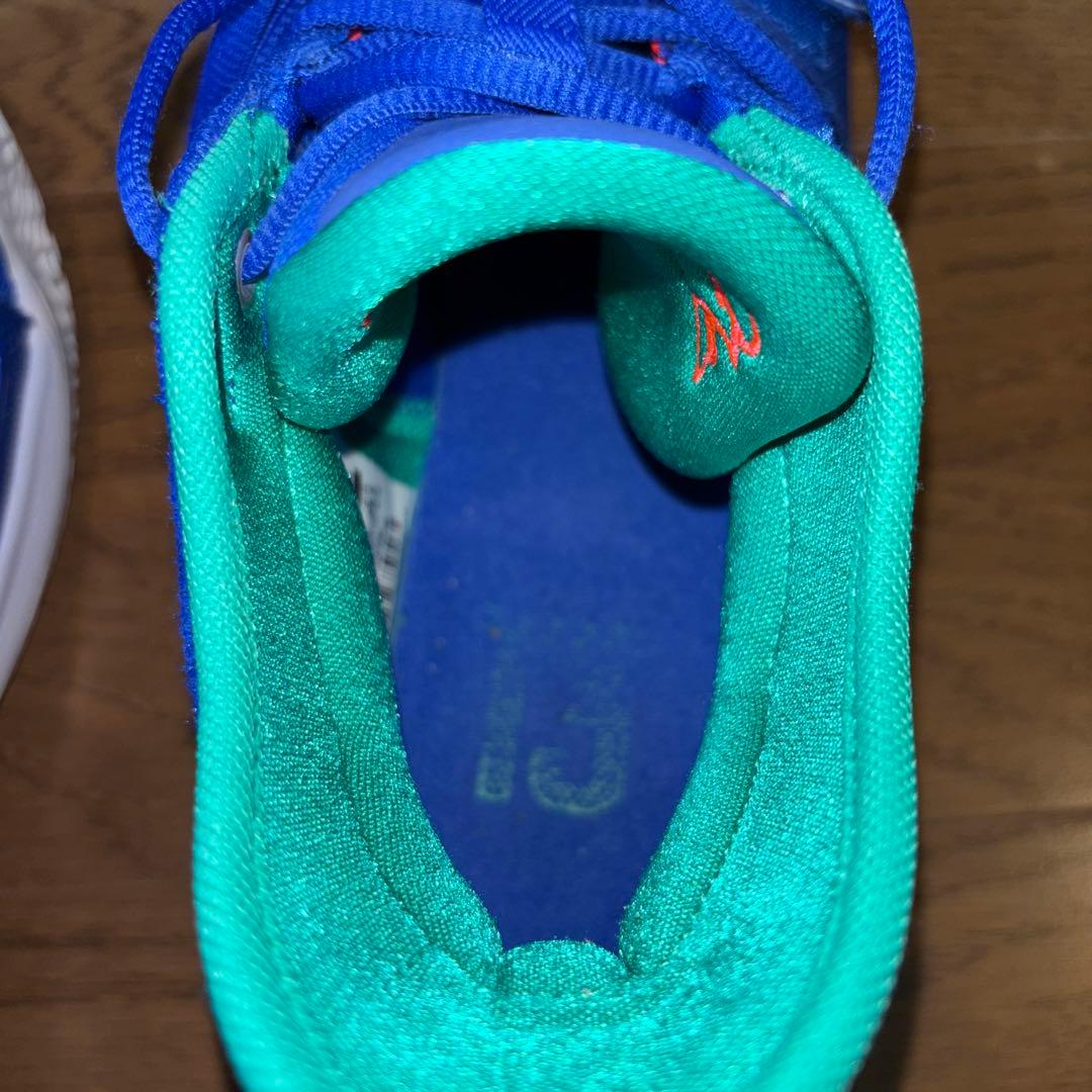 Nike PG2.5 EP Blue/Green/White 【28.5cm】