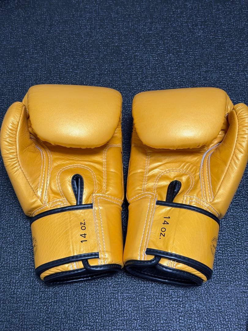 フェアテックス Fairtex ボクシンググローブ