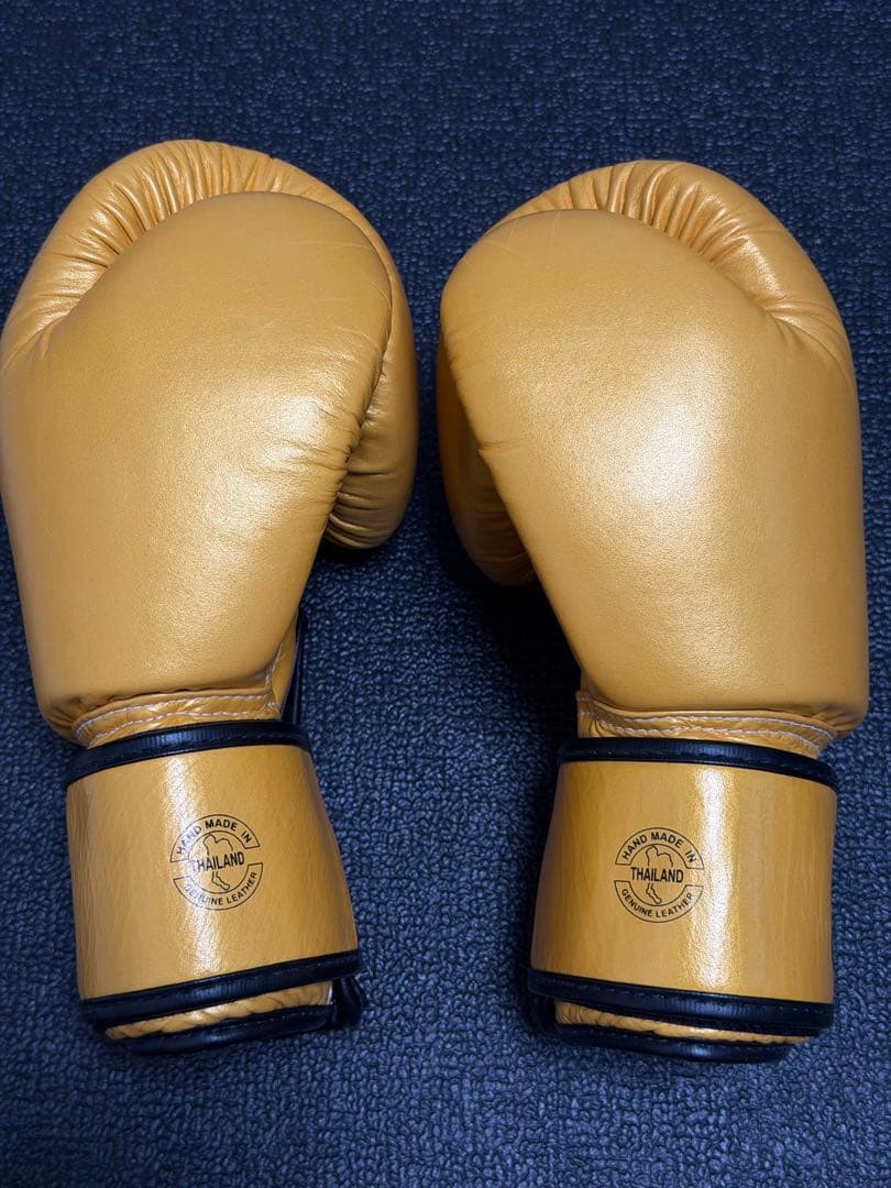 フェアテックス Fairtex ボクシンググローブ