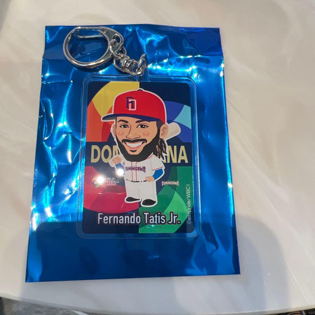 WBC ガチャ　缶バッジ　ドミニカ共和国　タティスjr