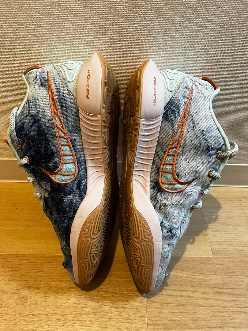 Nike Lebron21 【28cm】