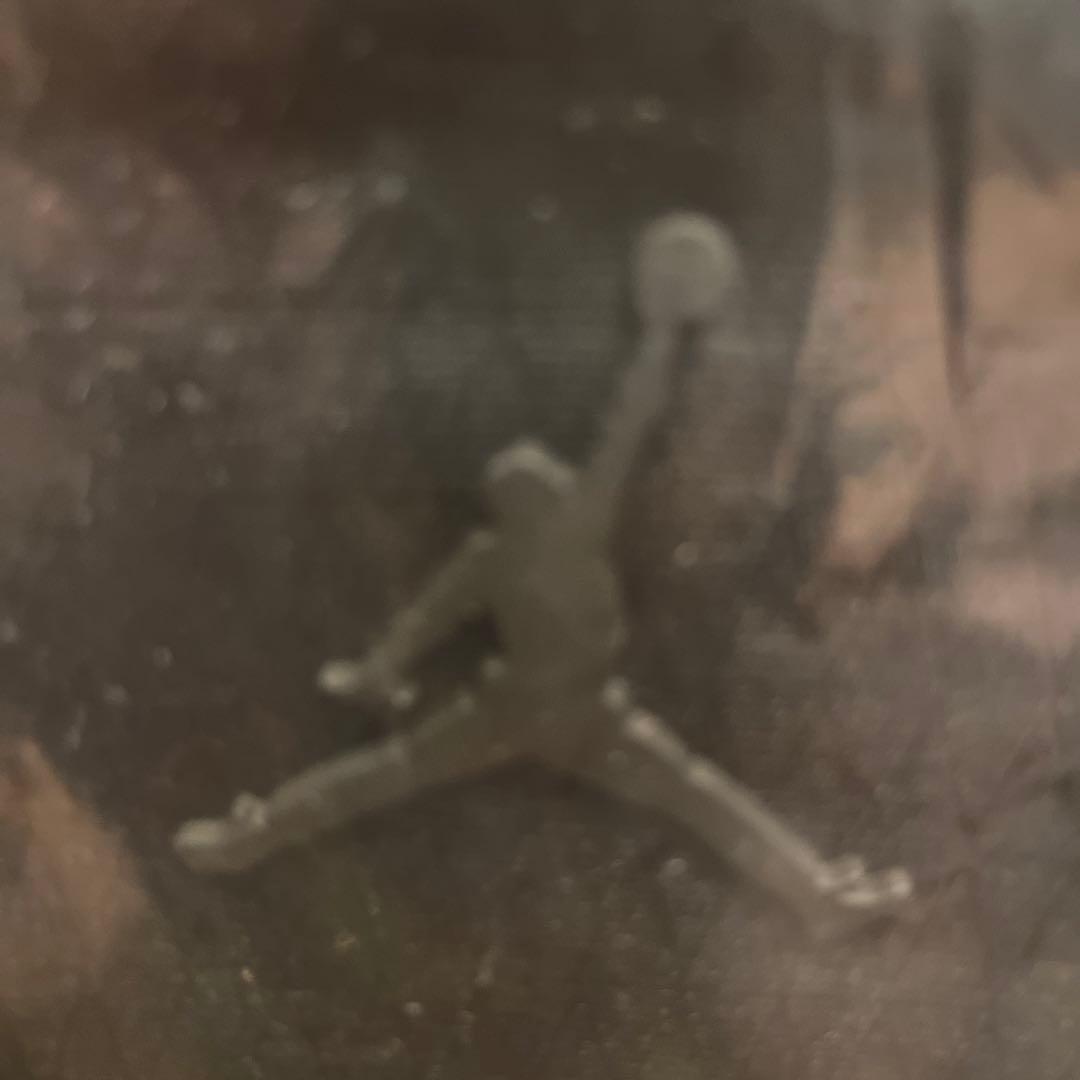 Jordan シューズケース MA0975-023 黒