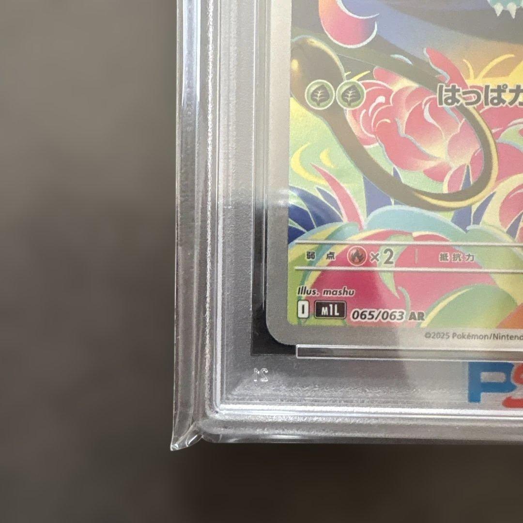 2025 ポケモンカード Ivysaur ART RARE