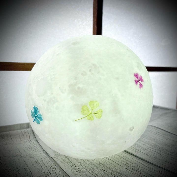 本物の四つ葉のクローバータッチライトஐ☘︎︎LEDライト2色タイプ✧̣̥̇ヒーリング効果♡