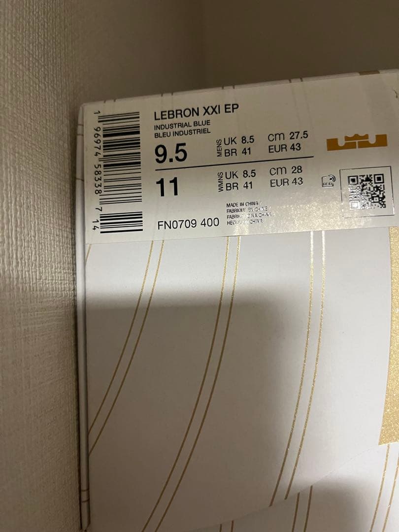 Nike lebron21 ep ナイキ レブロン21 27.5