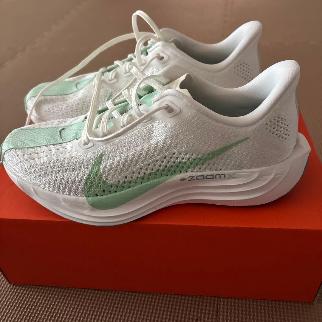 ペガサスプラス 25.0cm women 1.5km使用