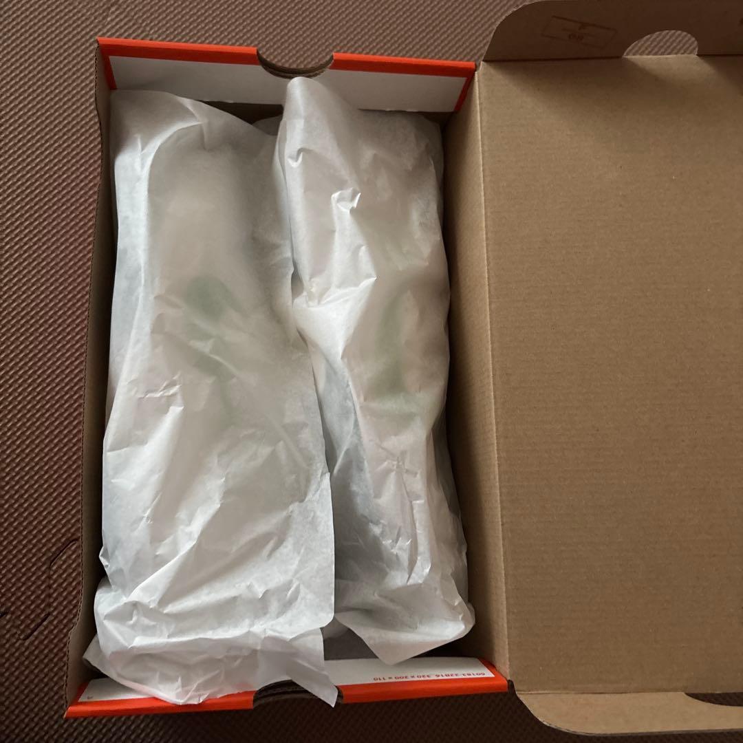 ペガサスプラス 25.0cm women 1.5km使用