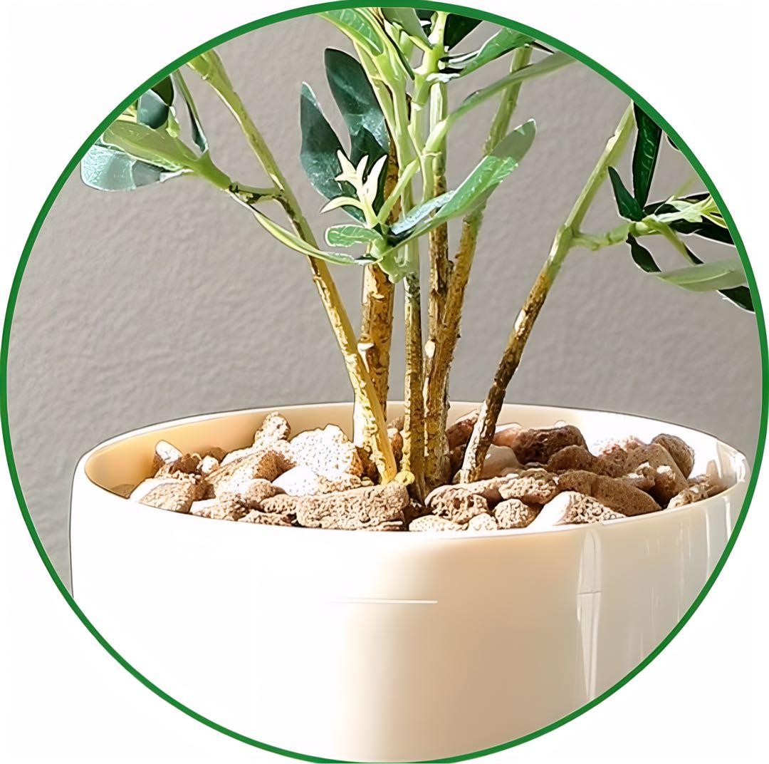 光触媒　人工観葉植物　ウォールグリーン　フェイクグリーン　オリーブ73センチ