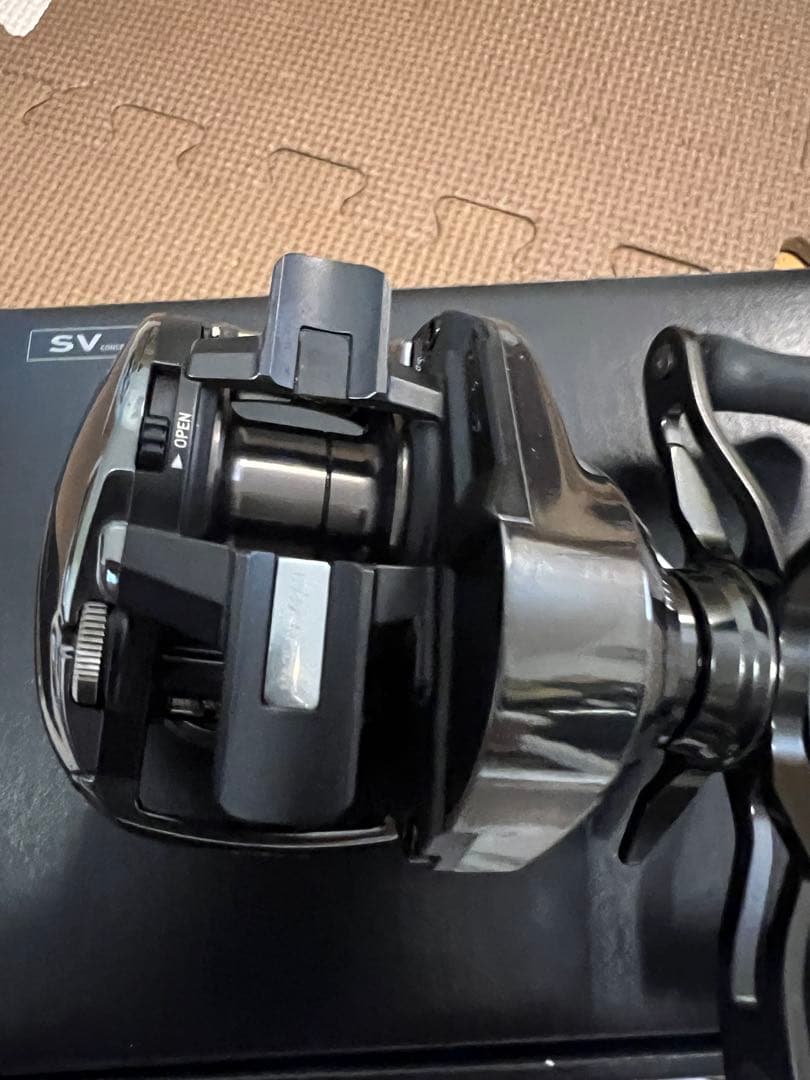 24スティーズSV TW 100H