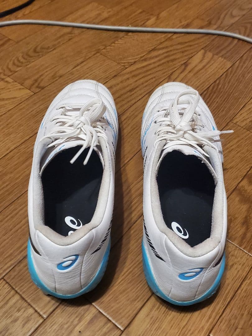 asics DS LIGHT X-FLY5 LIMITED 26.5cm 限定