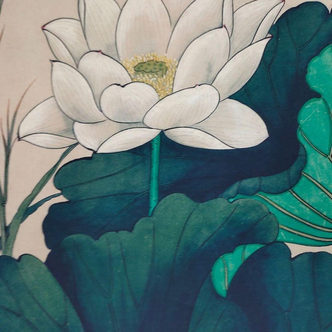 中国掛軸 于非闇 蓮池蜻蛉翠鳥図 中堂掛け軸 花鳥画 中国画 インテリア