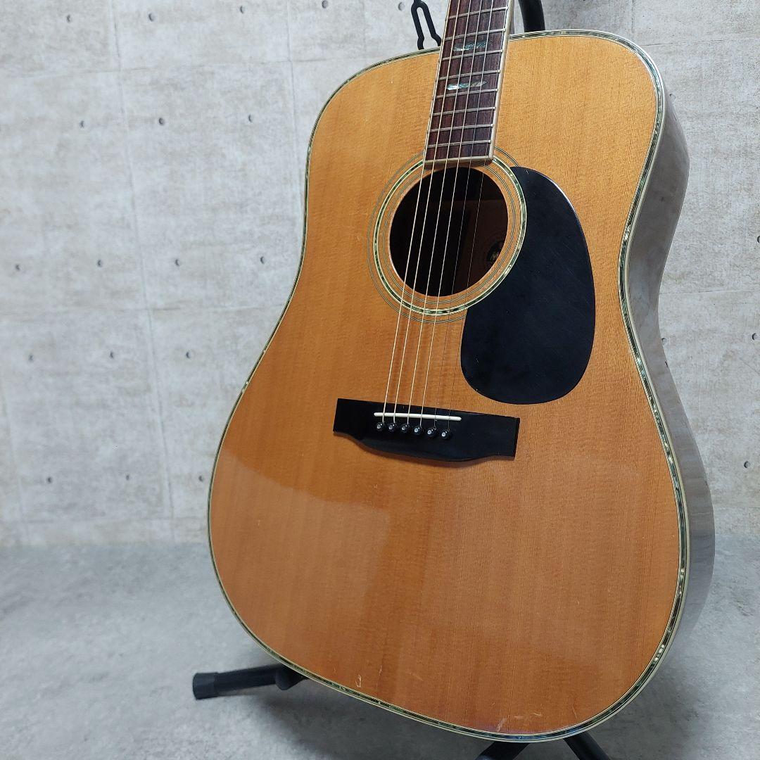 【希少】 Morris TF W-60 ハカランダ 縦ロゴ 弦張り替え済