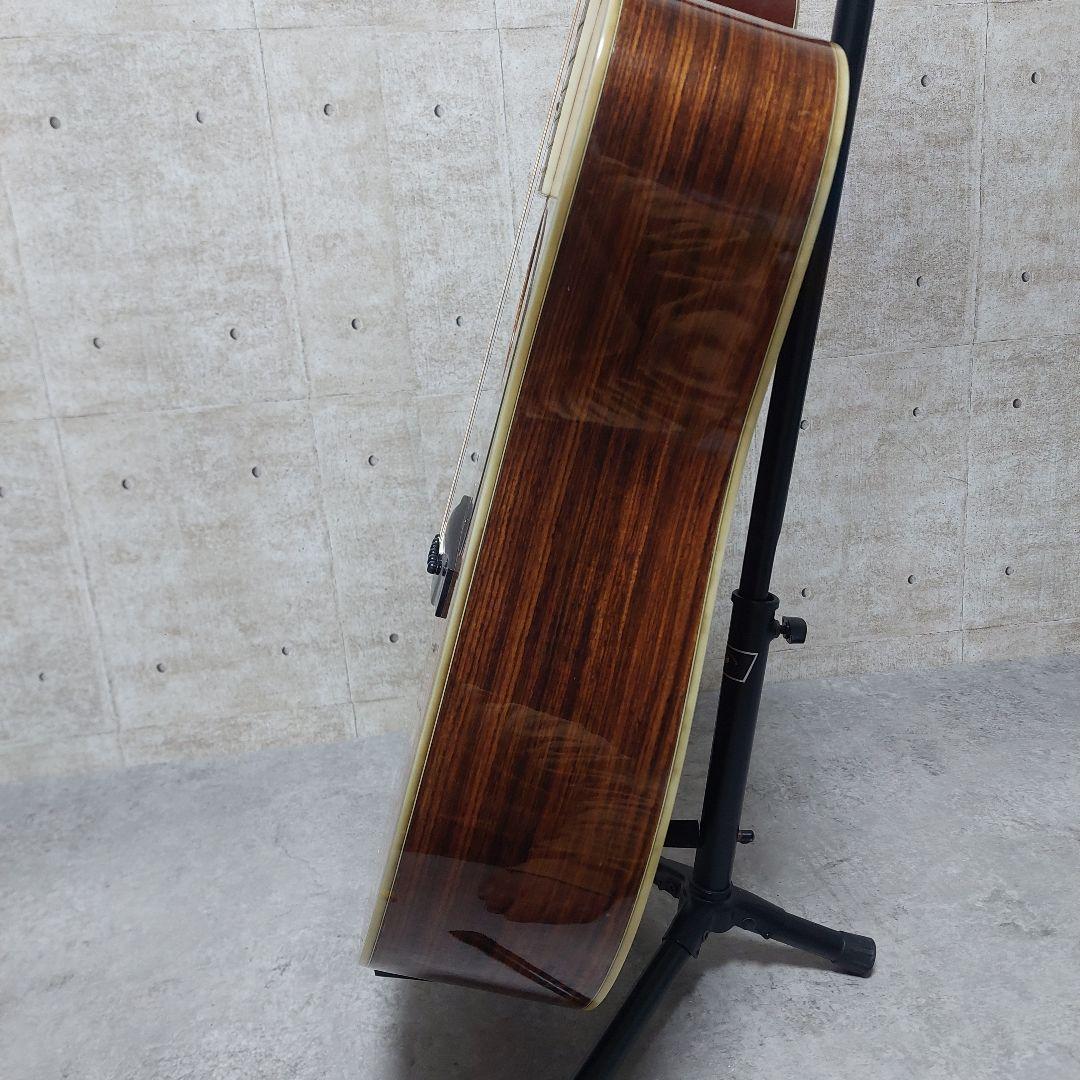 【希少】 Morris TF W-60 ハカランダ 縦ロゴ 弦張り替え済