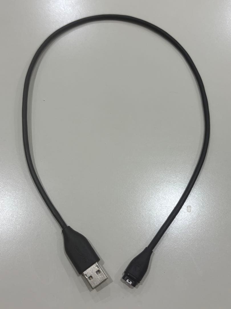Garmin ForeAthlete 245 Music Black/Red美品