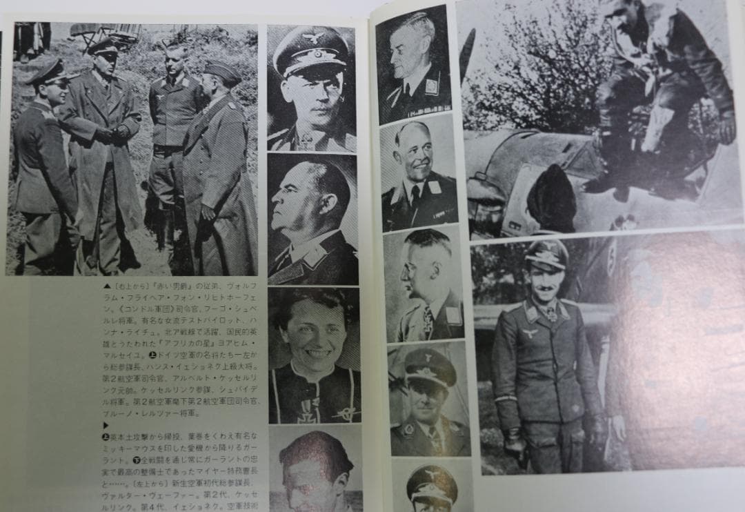 貴重　アドルフ・ガーランドフィギャー（ドラゴン）＋関連書籍　始まりと終わり